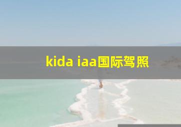 kida iaa国际驾照